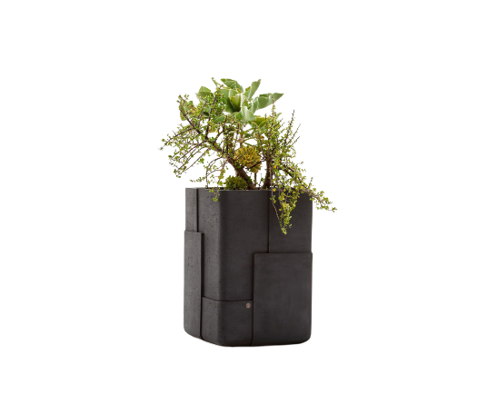 Indigenus, Aarde Planter Collection